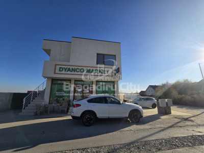 Vila individuala P+1 Clinceni stradal