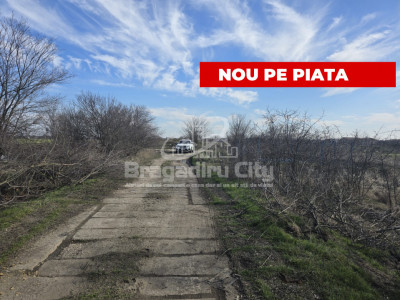 Teren ideal investitie Bragadiru